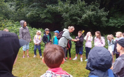 Entdeckungen im Camp „Geschaffene Welt”